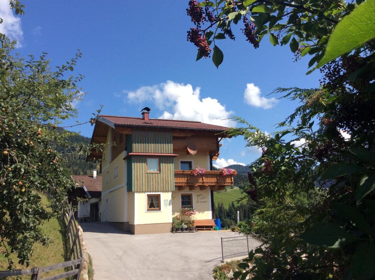 Haus Erika Daire Wagrain Dış mekan fotoğraf