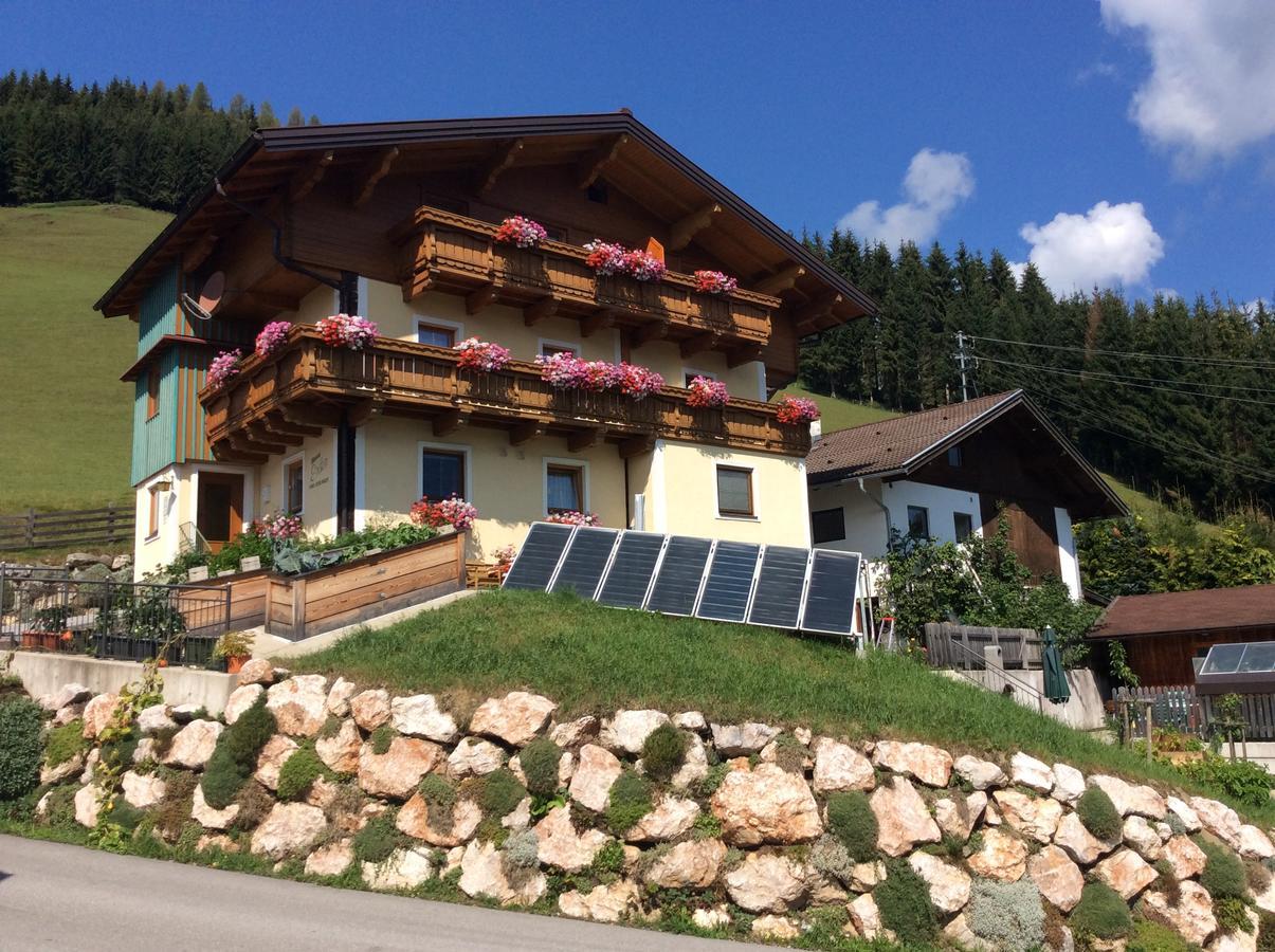 Haus Erika Daire Wagrain Dış mekan fotoğraf