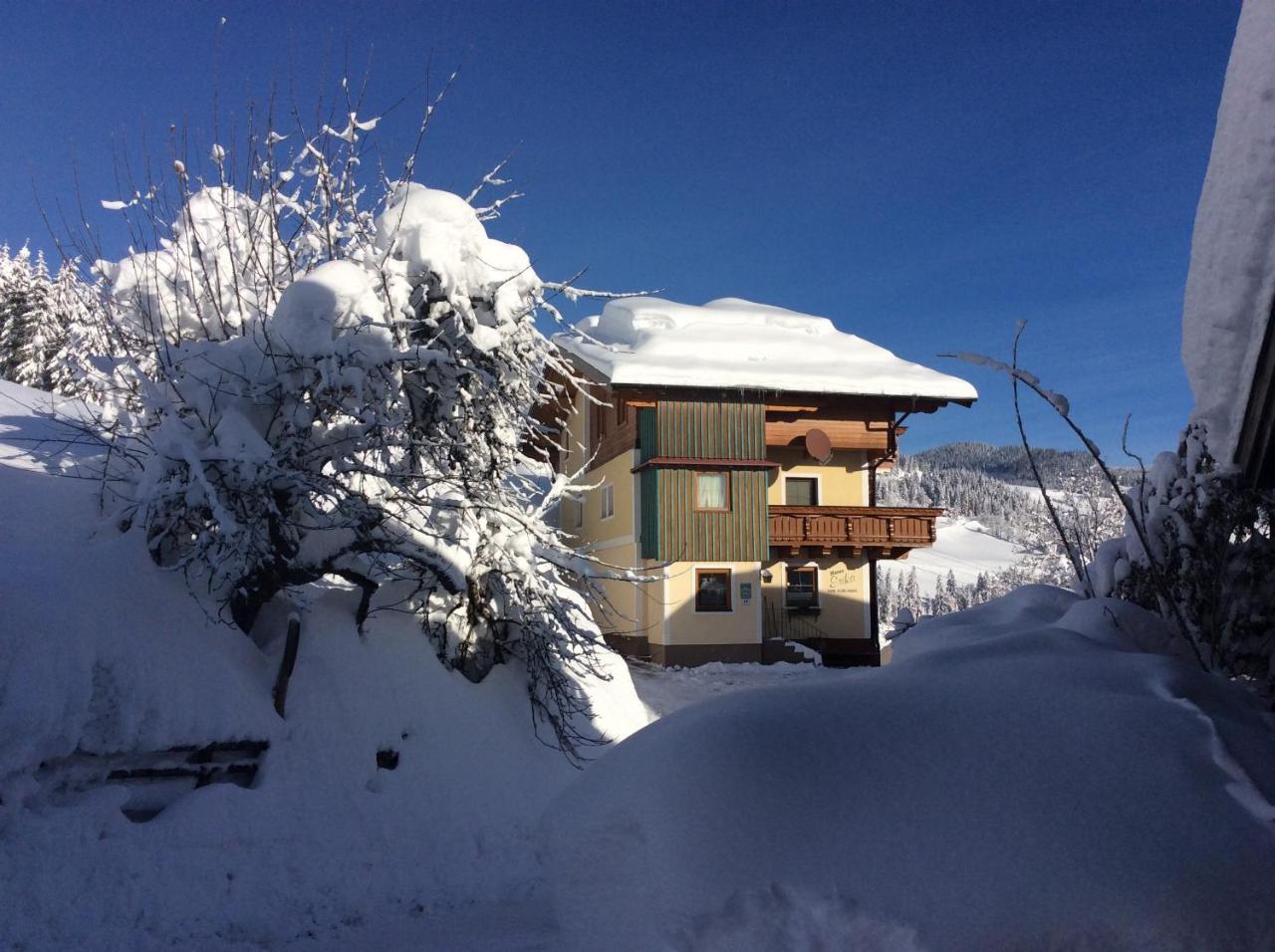 Haus Erika Daire Wagrain Dış mekan fotoğraf