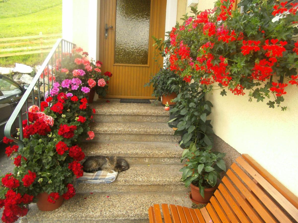 Haus Erika Daire Wagrain Dış mekan fotoğraf